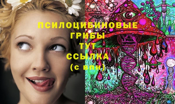 прущий лед Карпинск