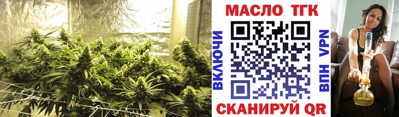 Купить закладки  Малая Вишера  ТГК THC oil 