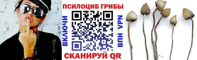 Псилоцибиновые грибы Cubensis  Купить закладки  Малая Вишера 